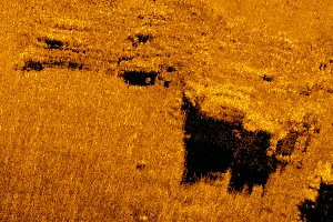 海底ソナー写真